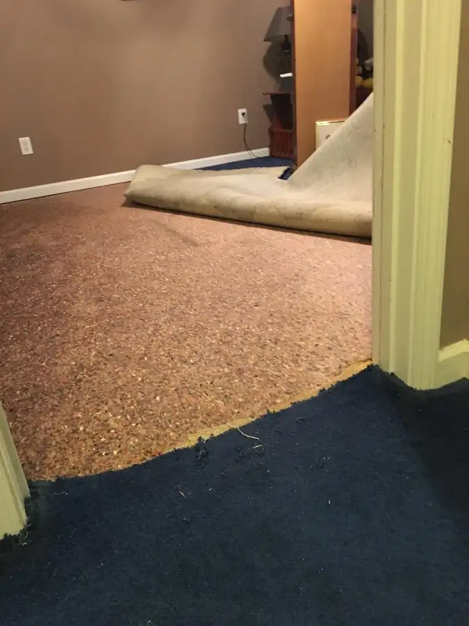 Carpet pad removal revealing water damage during Drying & Dehumidification in Sonterra